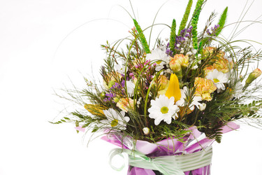 Similar image 2727475