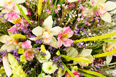 Similar image 2727476