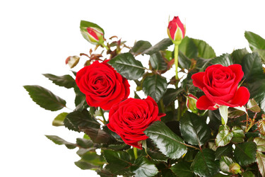 Similar image 2727477