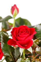 Similar image 2727478