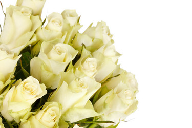 Similar image 2727480