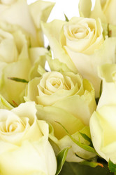 Similar image 2727481