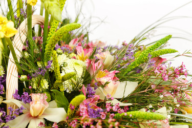 Similar image 2727487