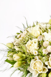 Similar image 2727503