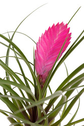 Similar image 2727506