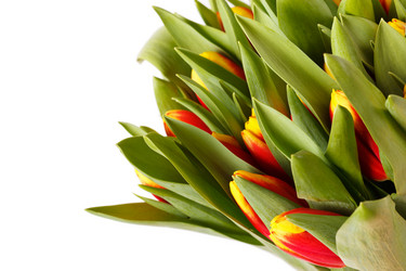 Similar image 2727508