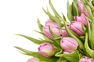 Similar image 2727509