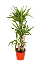 Similar image 2727516