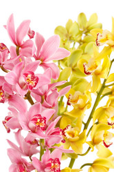 Similar image 2727517