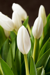 Similar image 2727518