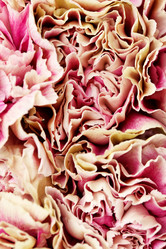 Similar image 2727520