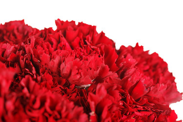 Similar image 2727522