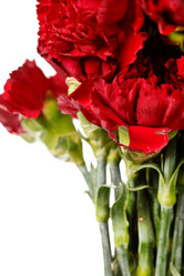 Similar image 2727523