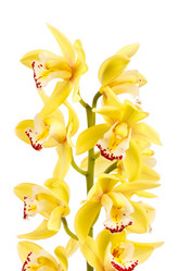 Similar image 2727526