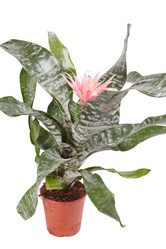 Similar image 2727529