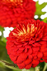 Similar image 2727535