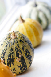 Similar image 2727547