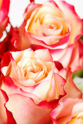 Similar image 2727553