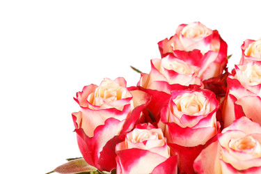 Similar image 2727554