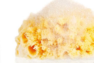 Similar image 2727556