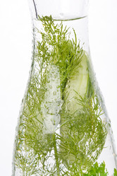 Similar image 2727557