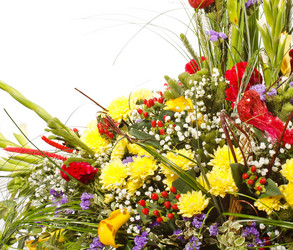 Similar image 2727560