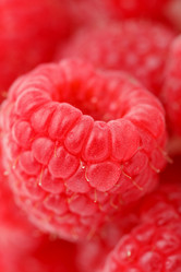 Similar image 2727565