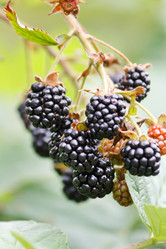 Similar image 2727583