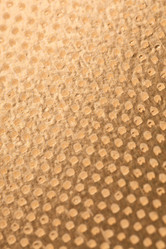 Similar image 2727585