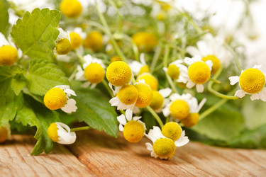 Similar image 2727647