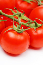 Similar image 2727661