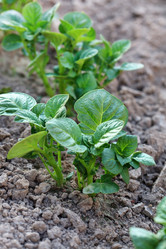 Similar image 2727668