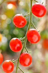 Similar image 2727677