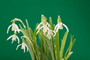 Similar image 2727678