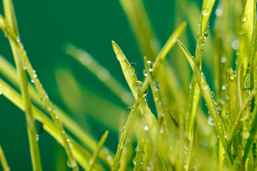 Similar image 2727680