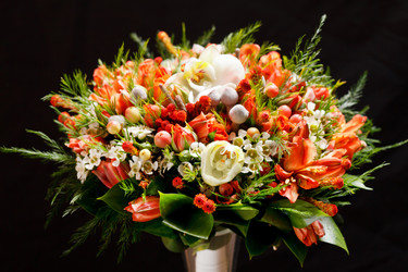 Similar image 2727684