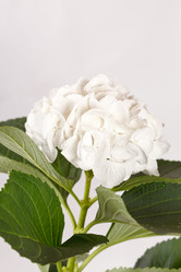 Similar image 2727693