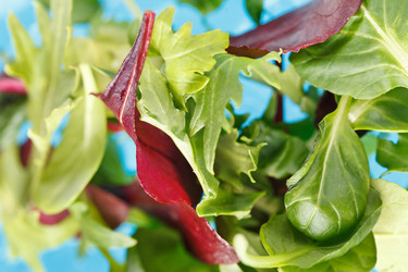 Similar image 2727697