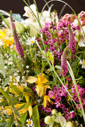 Similar image 2727713