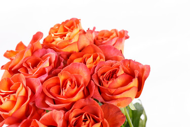 Similar image 2727726