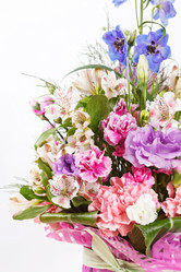 Similar image 2727730