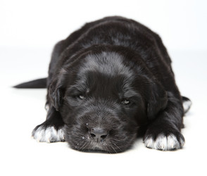 Similar image 2727768