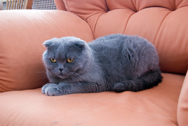 Similar image 2727867