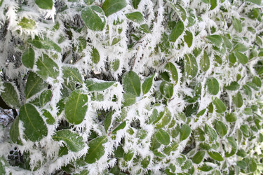 Similar image 2727971