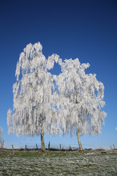 Similar image 2727972