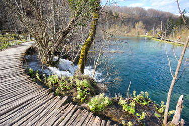 Similar image 2727994