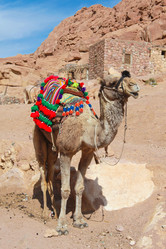 Similar image 2728072