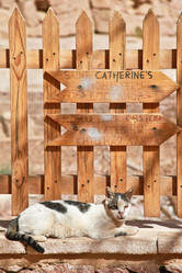 Similar image 2728096