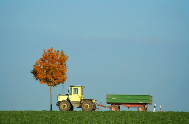 Similar image 2728141