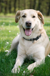 Similar image 2728152